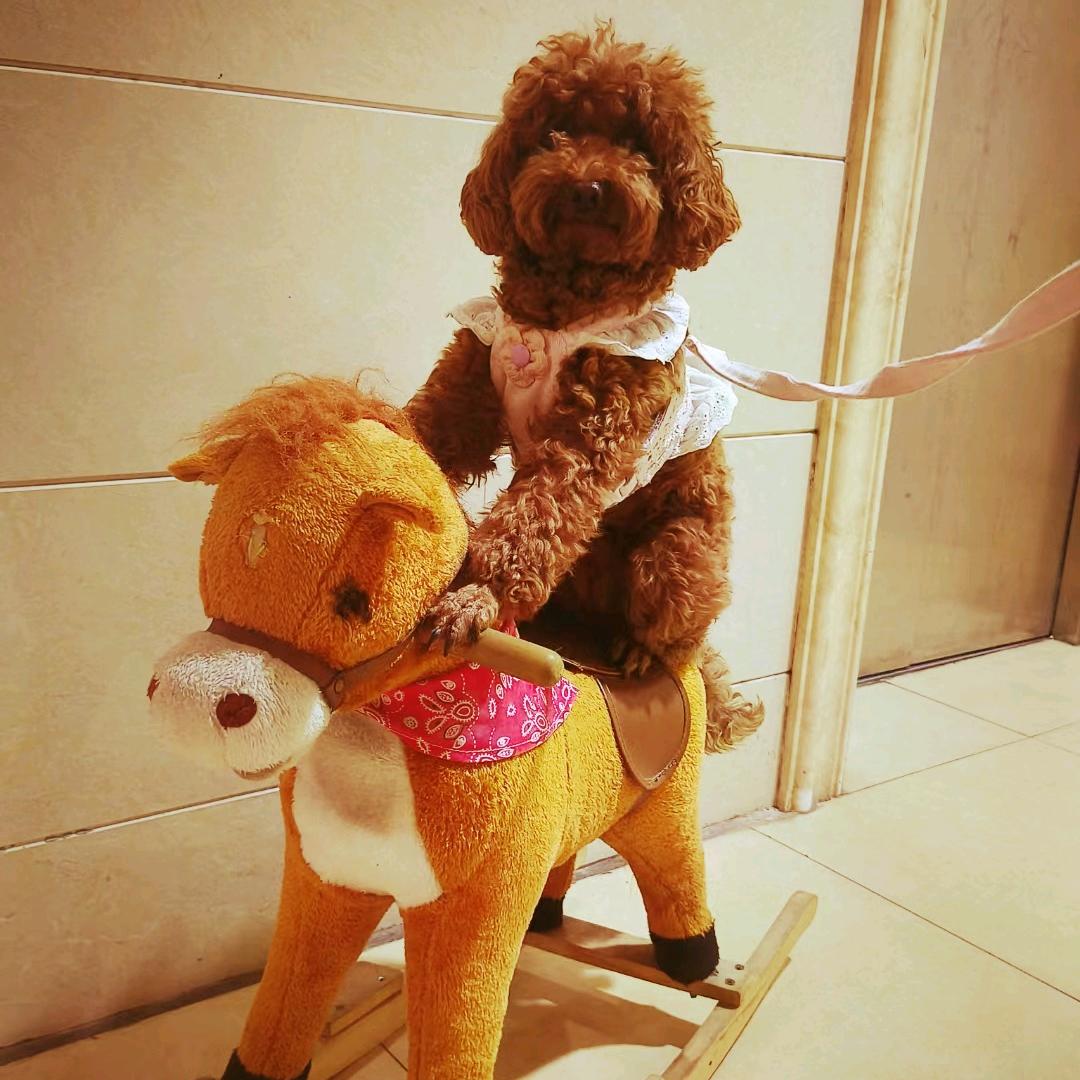 皖蓉