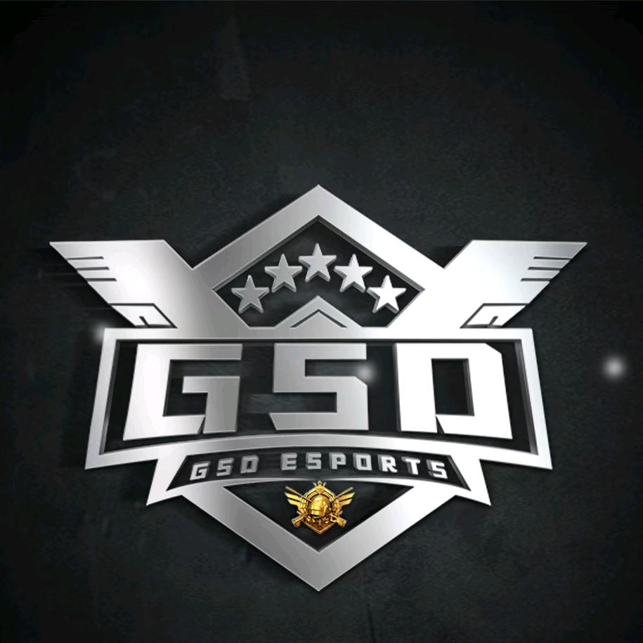 GOS和平精英护航小队