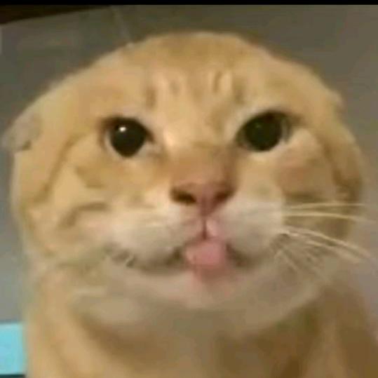 冬