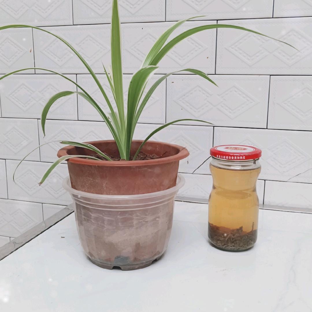 雨天散步