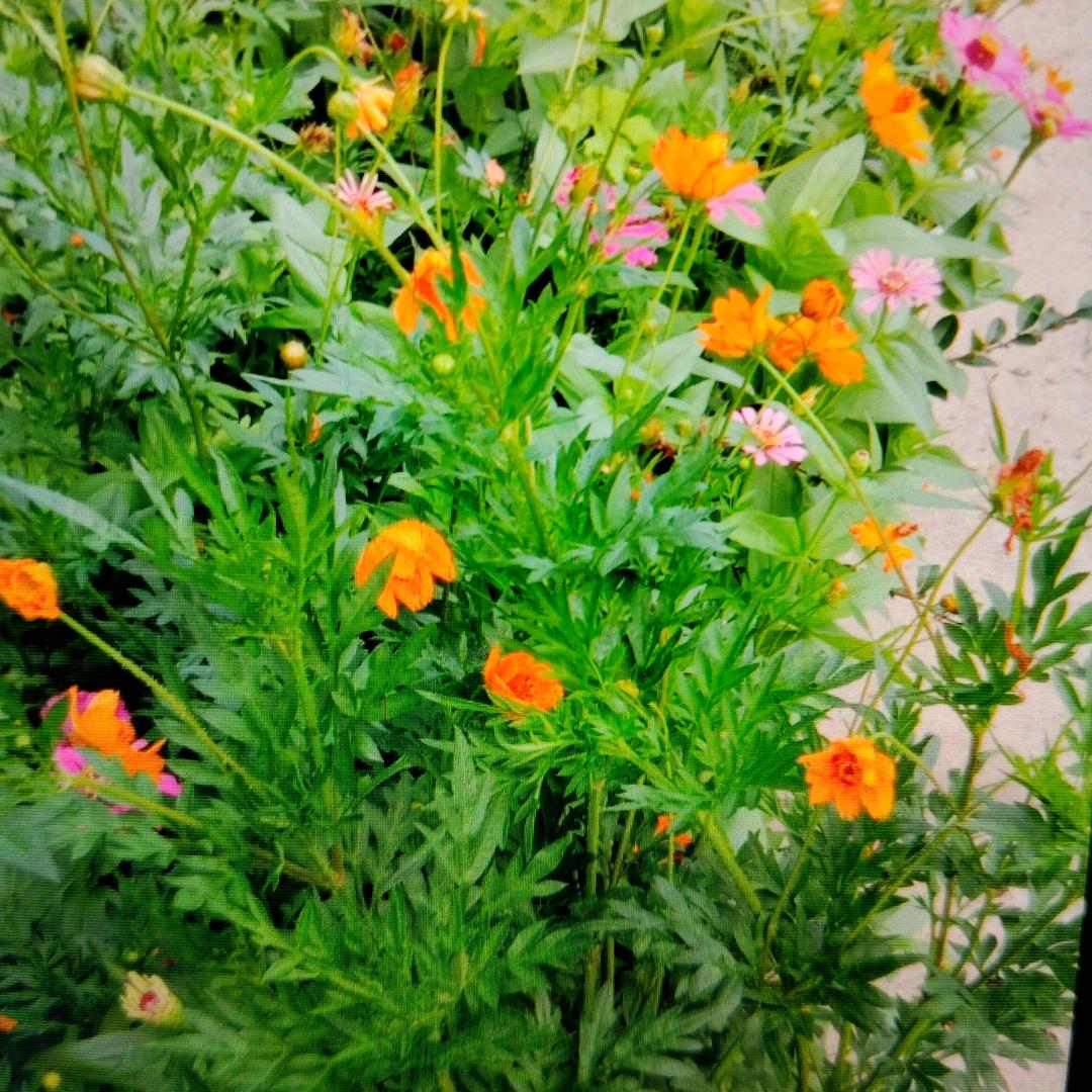 正确应该是看清人的嘴脸