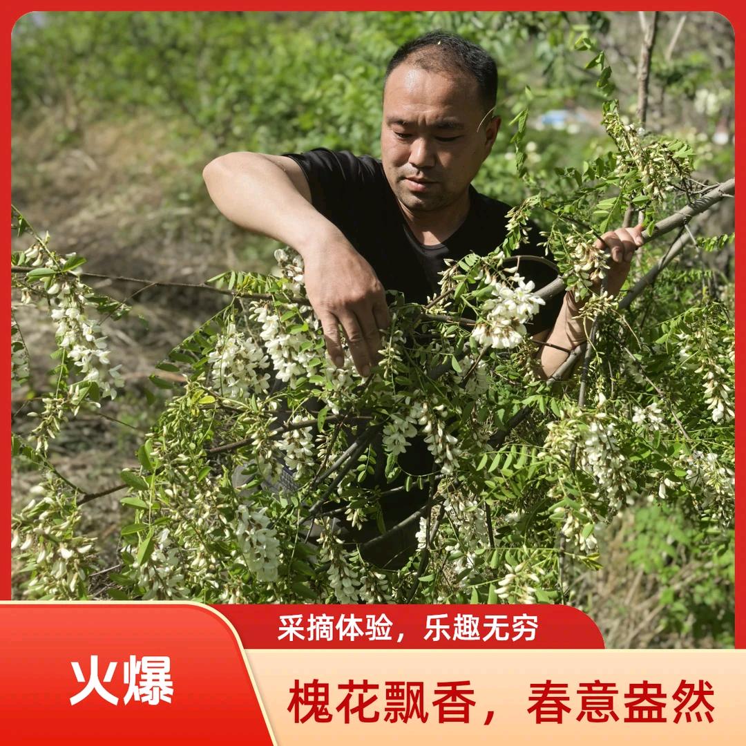 山里娃甄选(黎城太行山)