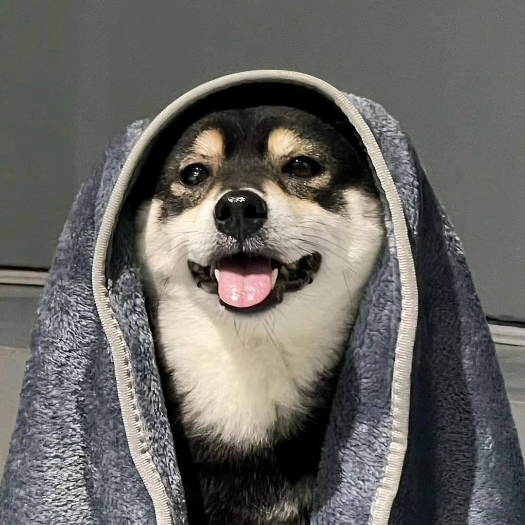 老舅