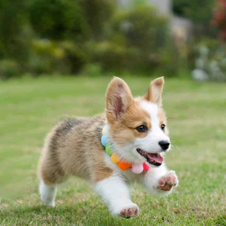 ﾉ☀
