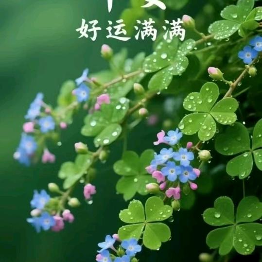 以和为贵
