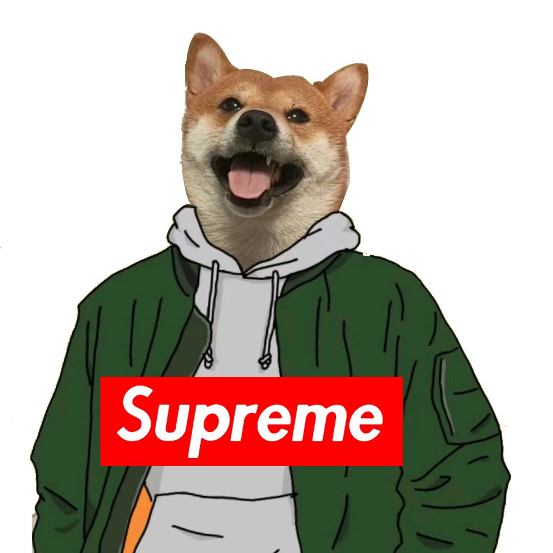 栽包儿