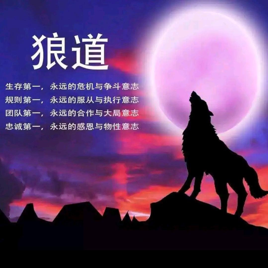 野狼