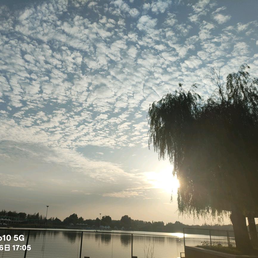 ㅤㅤㅤ      .    88