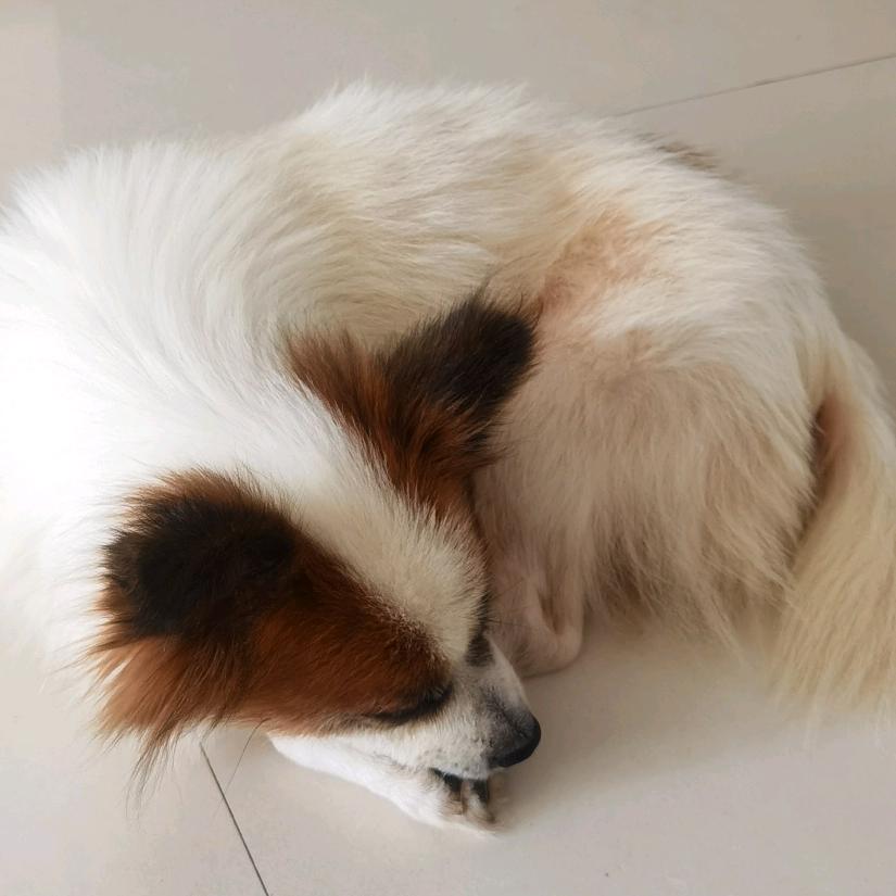 亚丹