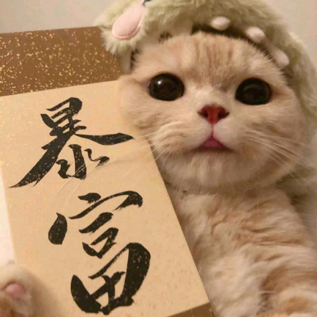 XINJUN