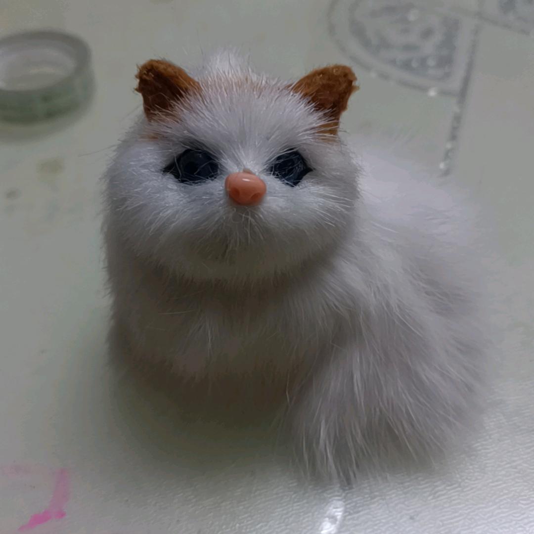 一切随意