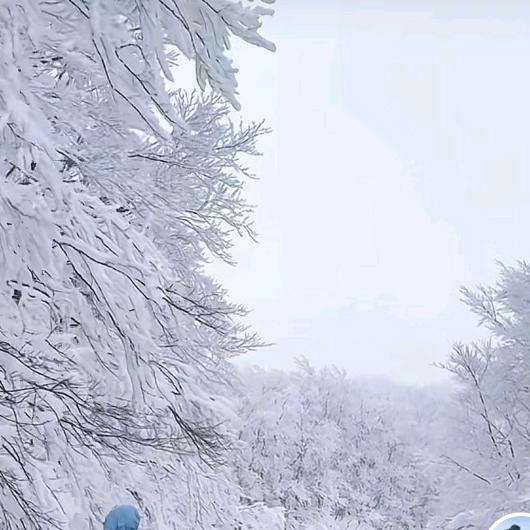用户9527