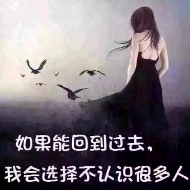 小凤姐🌱