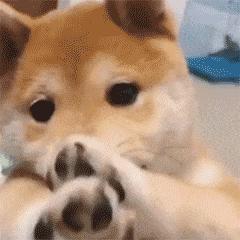 遇安.