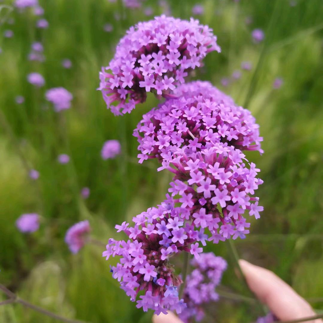 固原卖钛镁合金门王姐