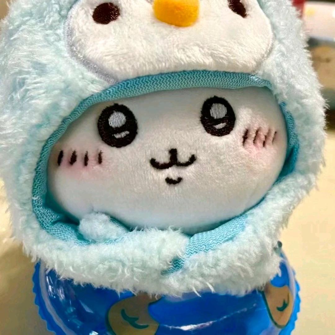 l卡皮巴拉