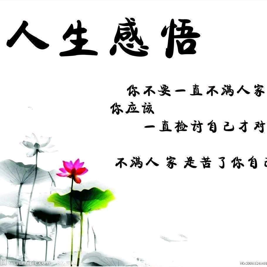 陈风破零
