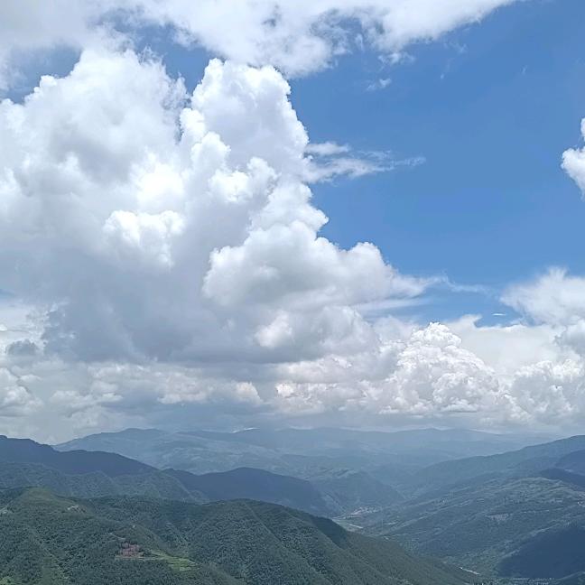 小马