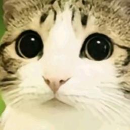 Cc