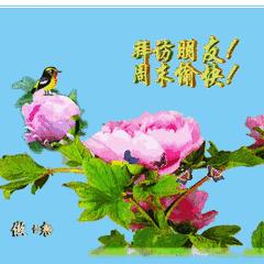 飞翔的翅膀