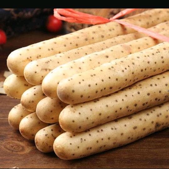 种山药的小哥哥