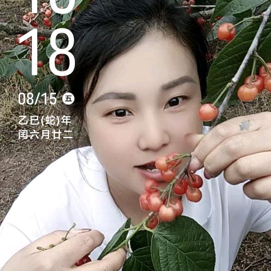 琴