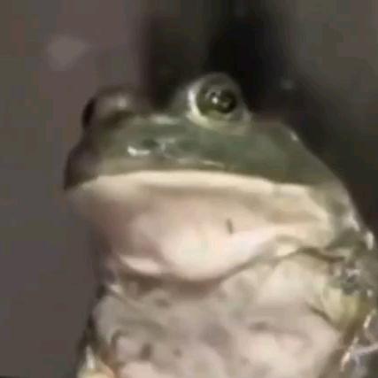 A濤