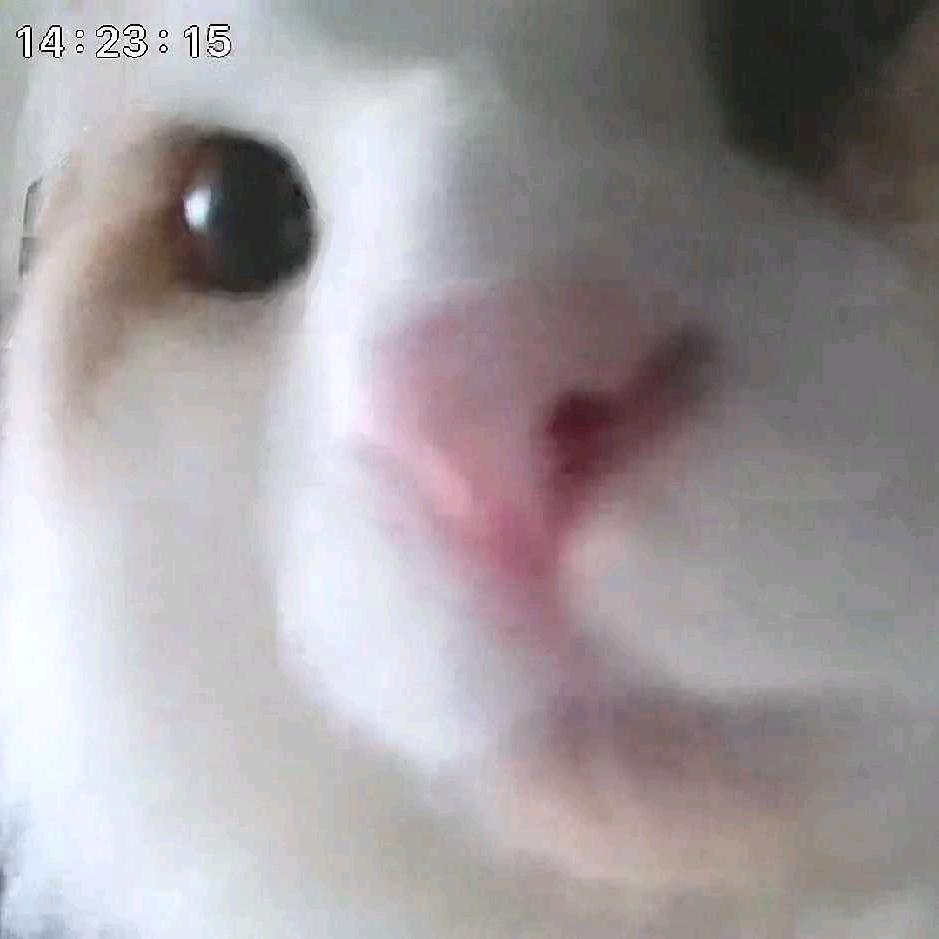 ℒℴѵℯ鱼兑水ꦿ໊ོﻬ°