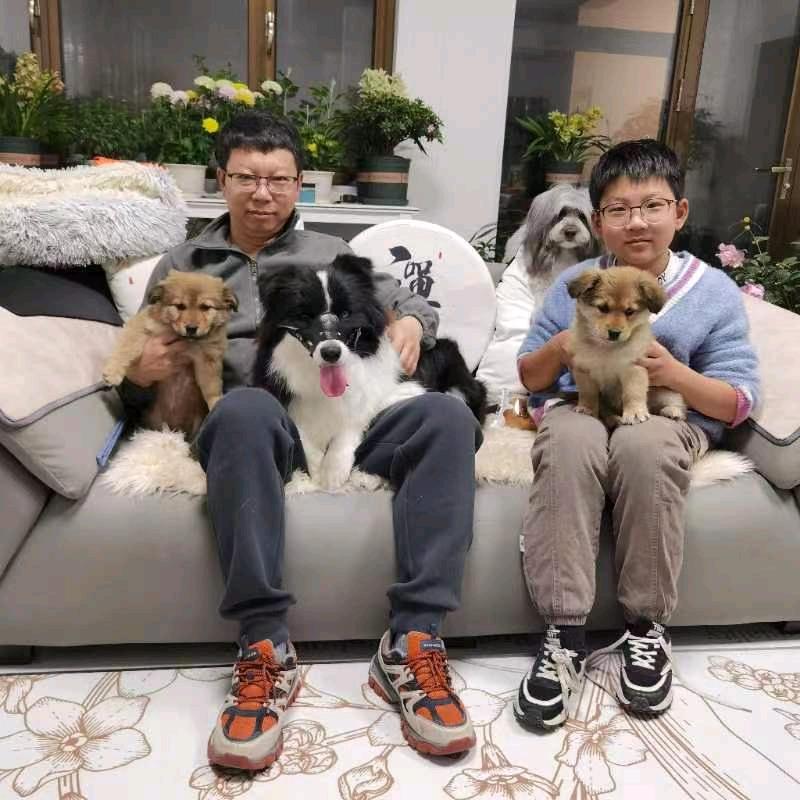 十三不是狗