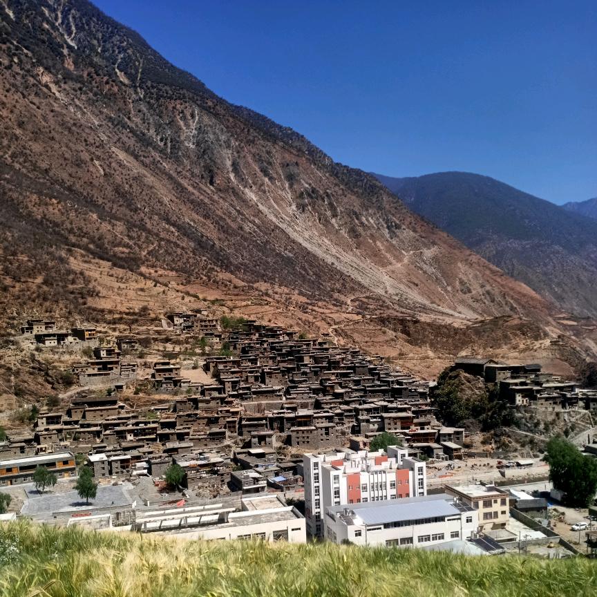 俄亚大村 本地米