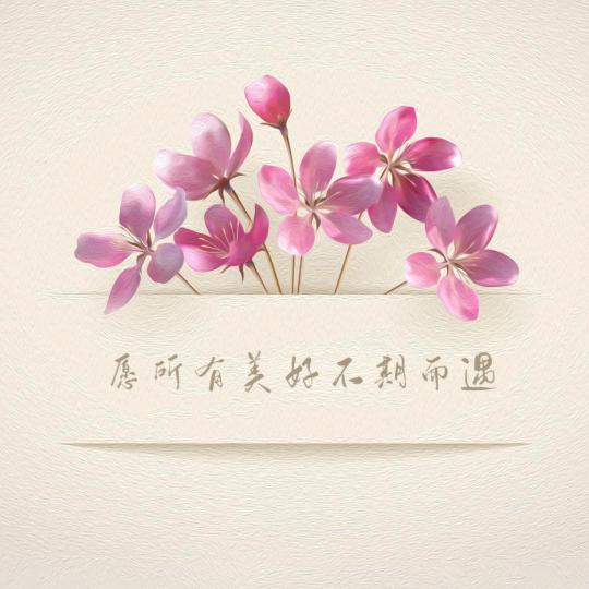 新生活康美科技(旗舰店)官方号