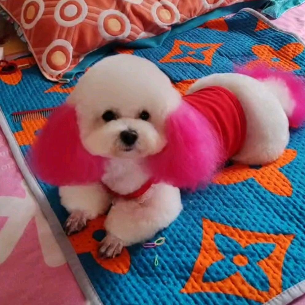 💅💋小丽💋💅