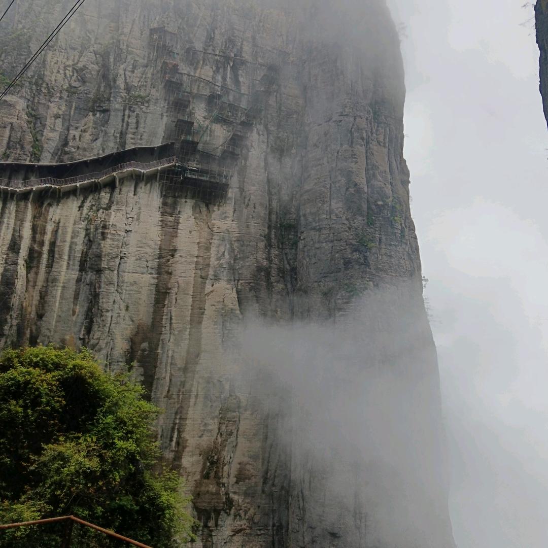 ꧁ღ浅秋🇨🇳꧂