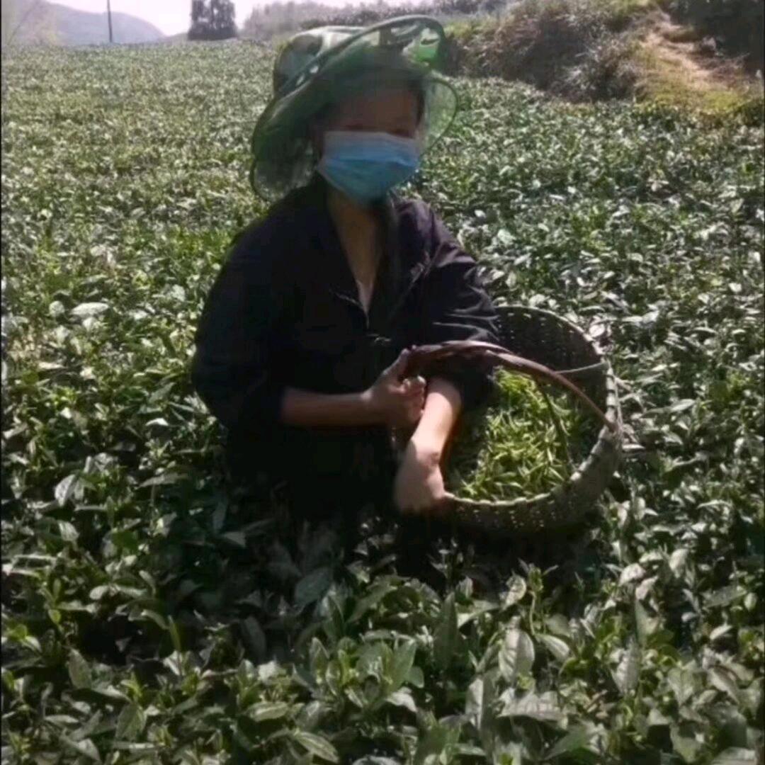 福  建  .雪   雪