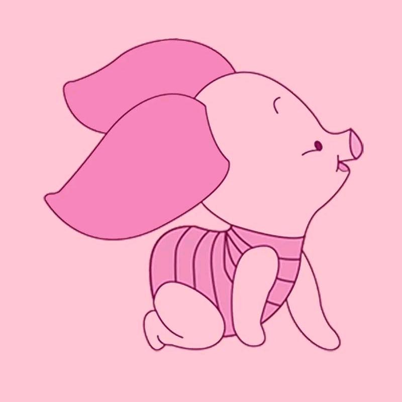 金小猪