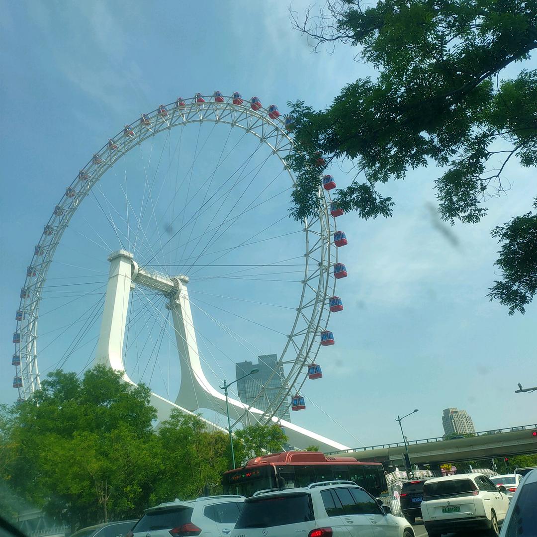 大鱼海棠
