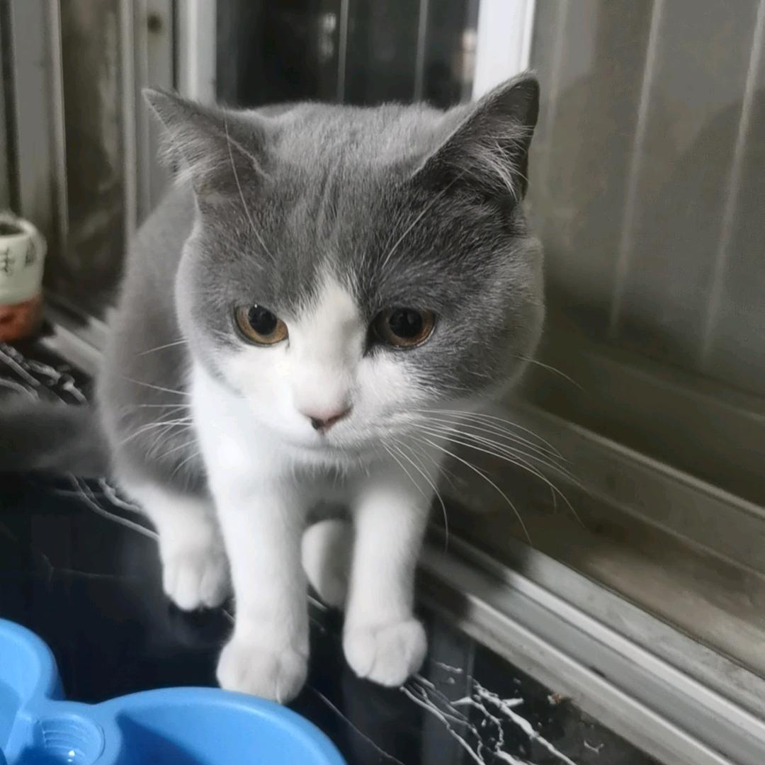 益百邻-藁城林杰（鑫鑫商贸）