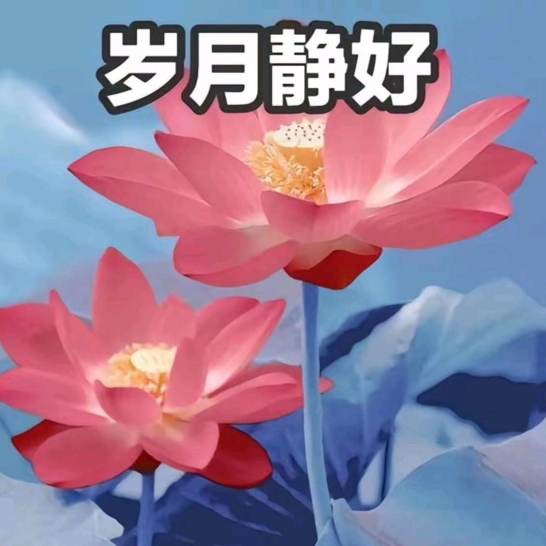 平安幸福（ '▿ ' ）