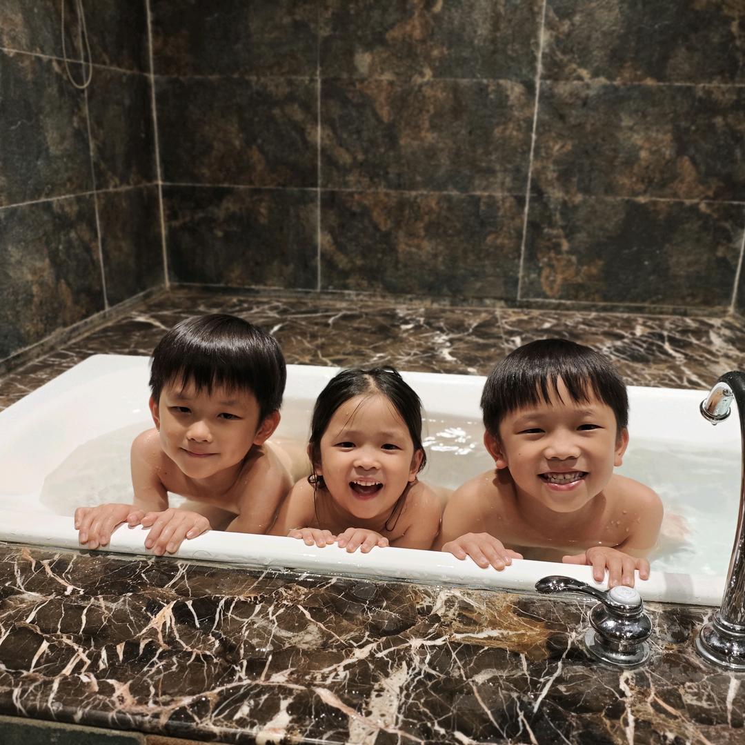 四小只的成长记