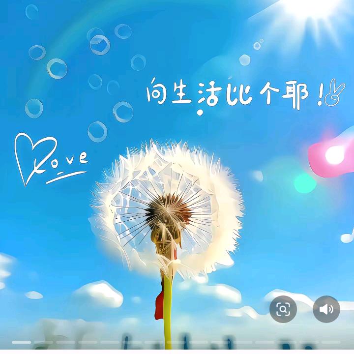 520 ╰╮❁坚持不谢✪ω✪
