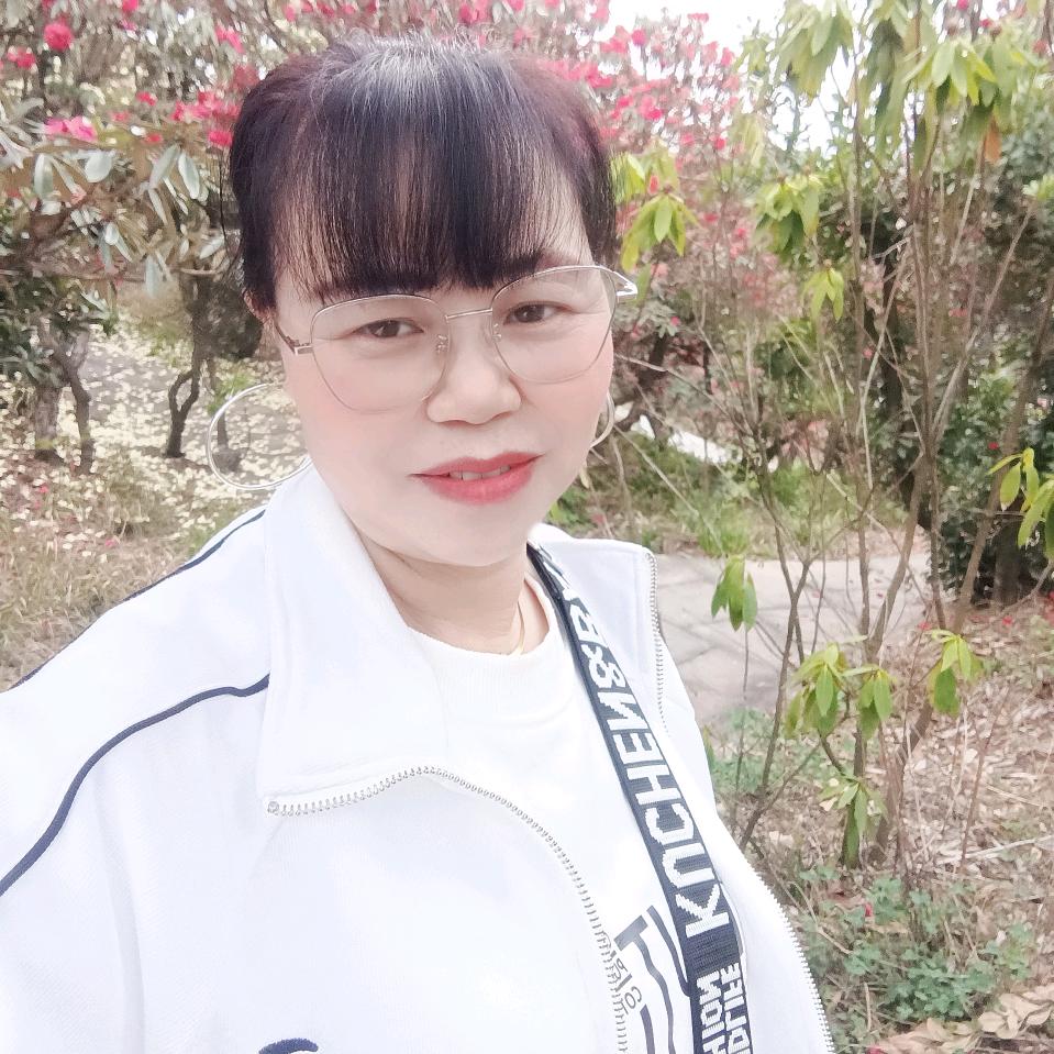 梅花盛开