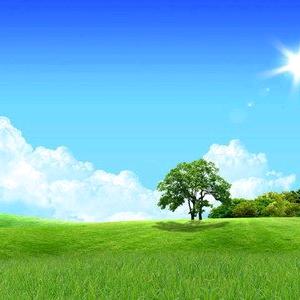 梦想的天空