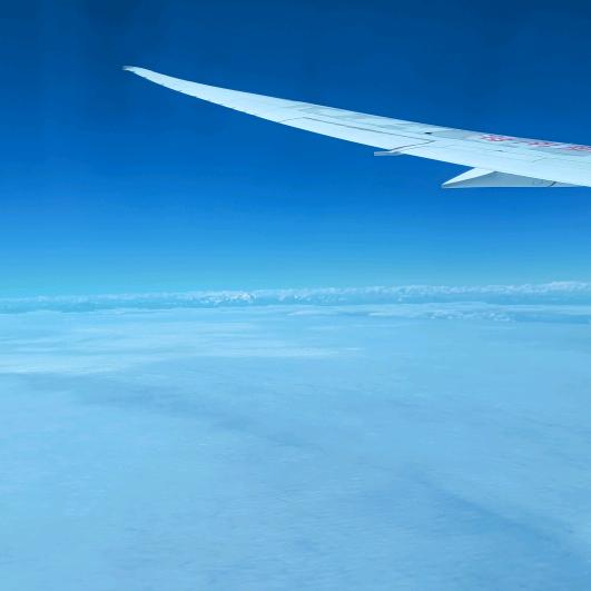 承接美缝工程丶小张