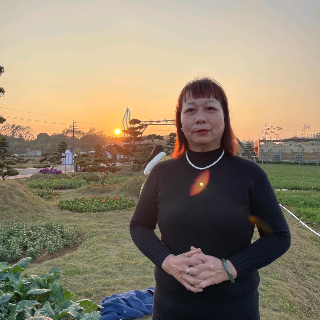 金牌红娘
