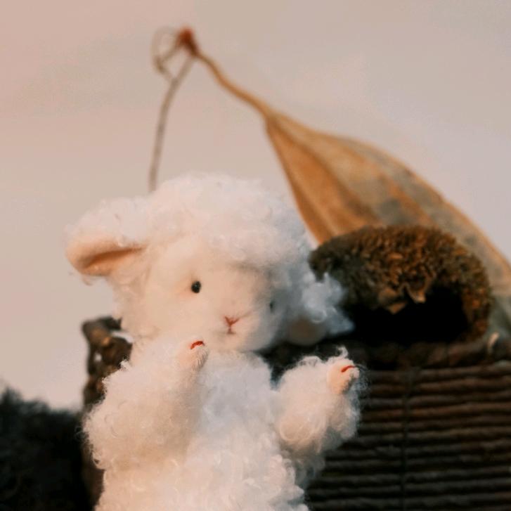 好想做只八爪鱼