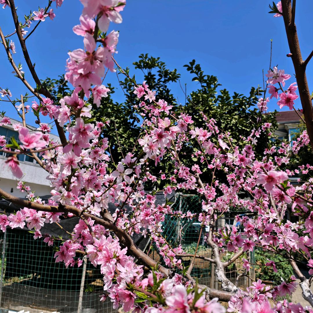 深深海