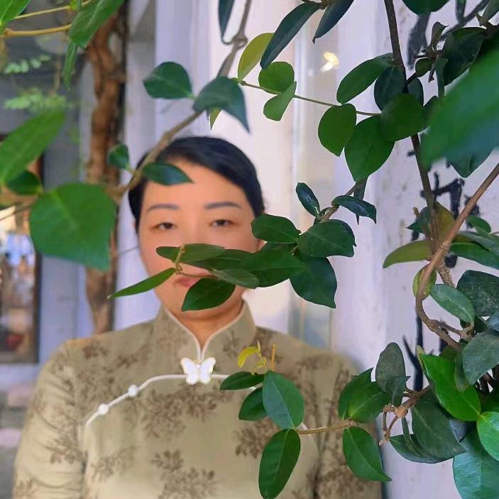 河南萍姐