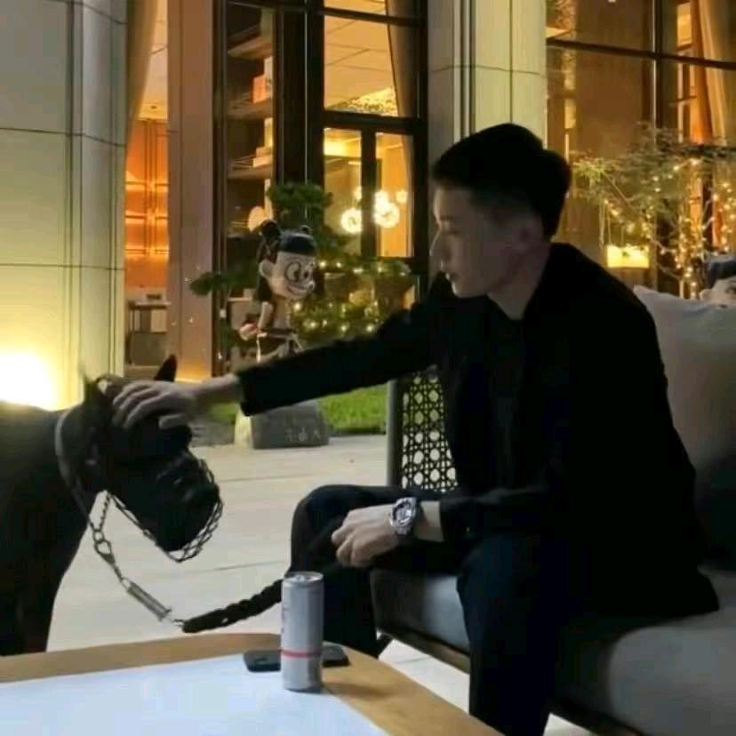 洛阳奥斯卡酒吧张盟元