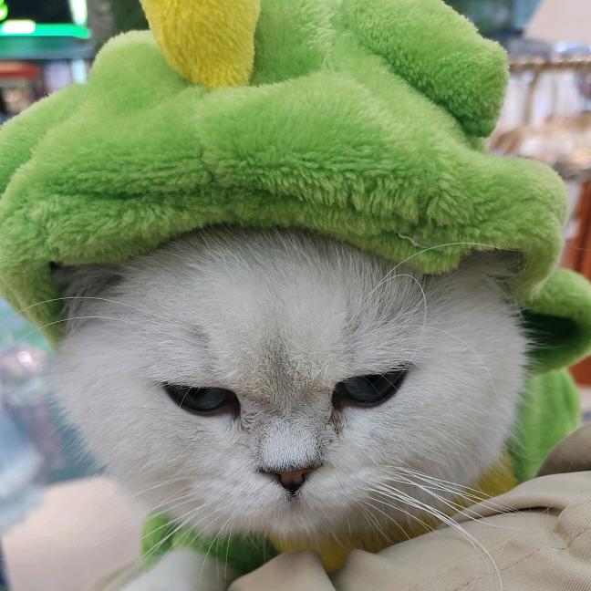 南简