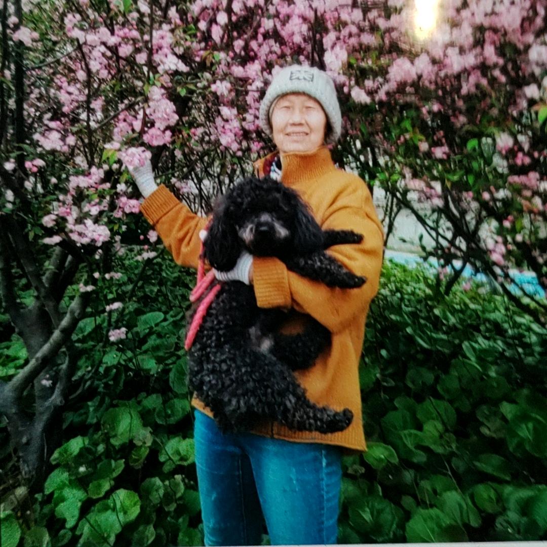 淑云